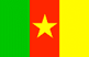 [flag of Cameroon]
